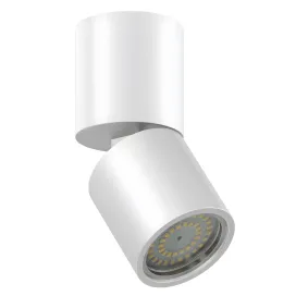 Models metal cylindrical light
